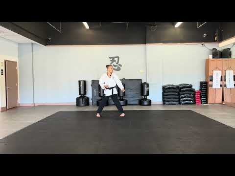 Kandaryu - Yellow Belt_ Naihanchi Shodan Breakdown