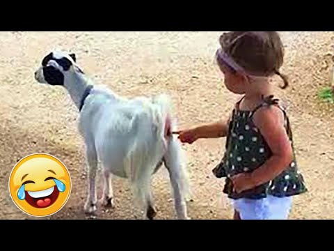 Try Not to Laugh Challenge #1 🤣 Best Fails of the Week