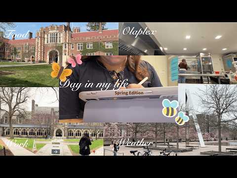 Realistic Uni Vlog 📸 Spring 🌸 Classes ☀️ Ramen 🍜 and MORE 🐈