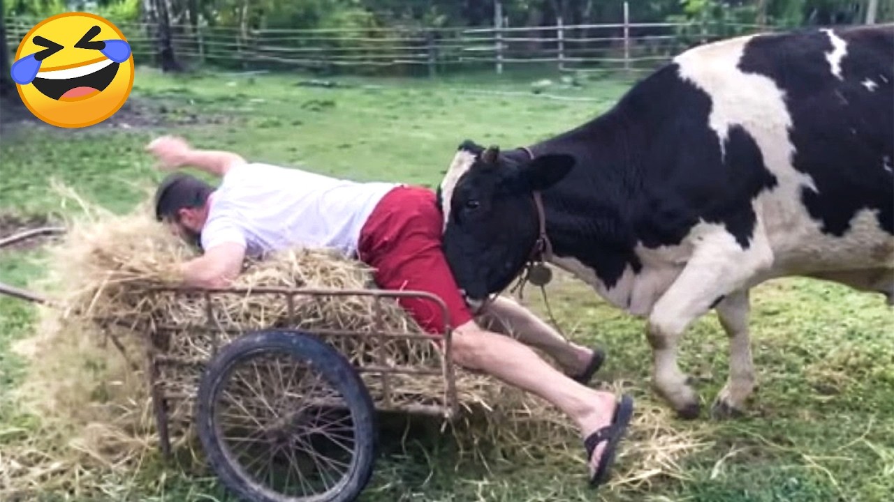Try Not To Laugh 🤣 Top 100 Funniest Videos Ever | Memes, Epic Fails & Pranks Compilation 2026 Part 3