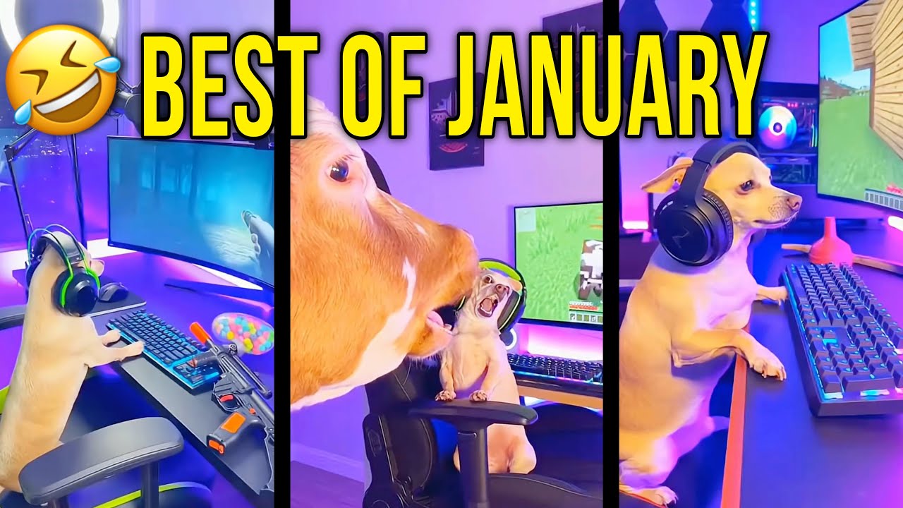 Baxter’s Funniest Gaming Moments of January 2026 🤣🐶🎮 (Best Shorts Compilation)