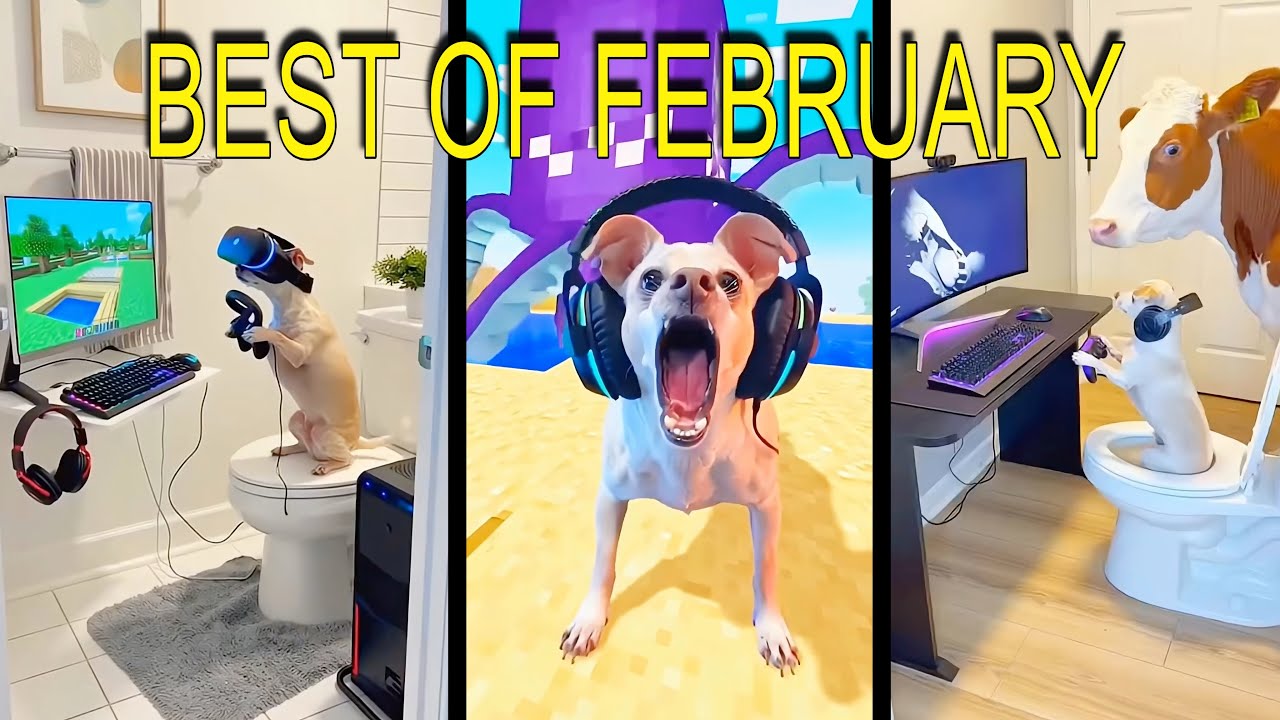 Baxter’s Funniest Gaming Moments of February 🤣🐶 (Best Shorts Compilation)